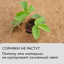 Круг приствольный, d=0.4 м, из кокосового полотна, набор 5 шт., «Мульчаграм»
