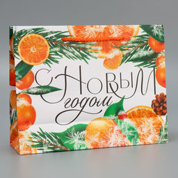 Пакет ламинированный горизонтальный Цитрусовый коктель, MS 23 18 8 см - Доступные радости фото 3