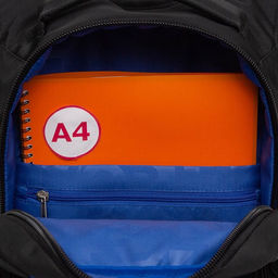 RB-450-2 Рюкзак школьный - Grizzly фото 48