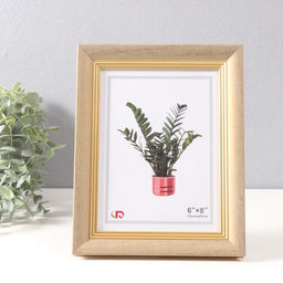 Фоторамка для фото 15×20 см «Габриэль», пластик, золотая с золотой полосой, 2.2×19×24 см