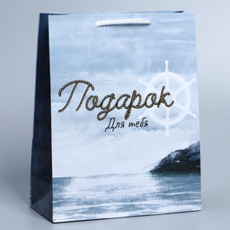 Цена за 2 шт. Пакет подарочный ламинированный, упаковка, Present for you, ML 21×25×8 см