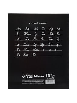 Цена за 160 шт. Тетрадь 24 листа в линейку Calligrata «Гоночные авто», блок №2, 5 В МИКС