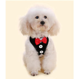 Шлейка с поводком для мелких пород собак и кошек "LAPUSIK", цвет черный, размер S