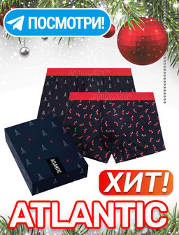 ATLANTIC 2GMH-027 Трусы шорты Socks - набор 2 шт. темно-синий