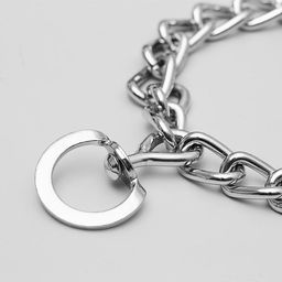 Ошейник - полуудавка строгий, 4 мм х 60 см - Пижон фото 2