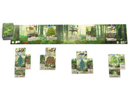 Смешанный лес