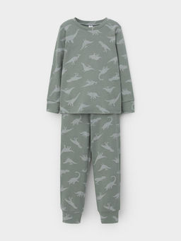 К 1552/полынь,древние динозавры пижама дет