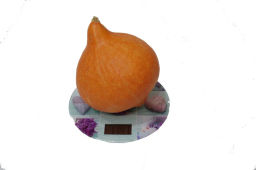 Тыква Оранж Саммер - Партнер фото 3