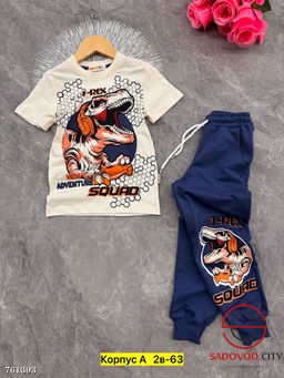 Костюм спортивный двойка