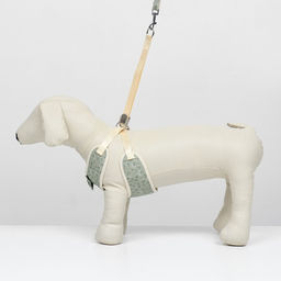 Комплект с мягкой шлейкой Веточки, размер S, поводок 120 х 1,5 см, ОГ 28-62 см, зеленый - Пижон фото 2