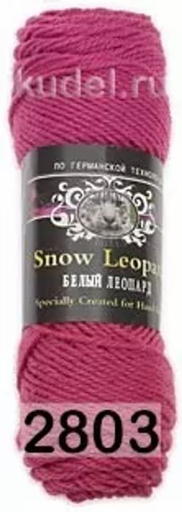 SNOW LEOPARD - Color city фото 20