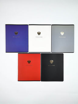 Тетради в клетку, 48 л., набор из 5 шт., блок №1 Россия