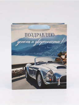 Цена за 2 шт. Пакет ламинированный Поздравляю, ML 23 ? 27 ? 11,5 см