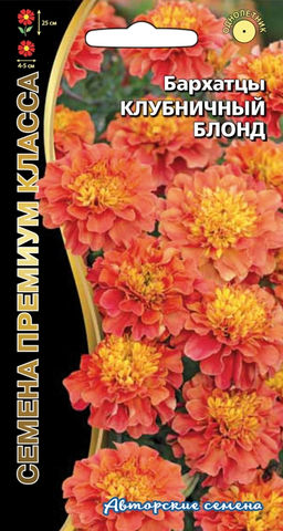 Бархатцы КЛУБНИЧНЫЙ БЛОНД отклонённые