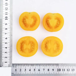 Томат Черри Златояр - Партнер фото 7