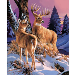 Картина по номерам на холсте с подрамником Олени в лесу 40 50 см - Школа талантов фото 2