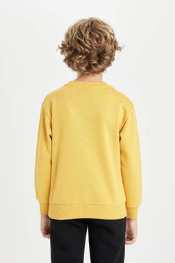 Толстовка для мальчиков с круглым вырезом и тигровым принтом - Defacto фото 6