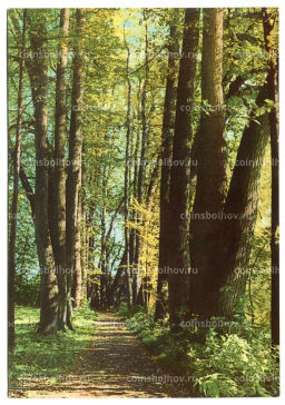 Открытка Музей-усадьба Ясная Поляна. Верхний парк Клины