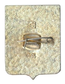 Значок Владимир