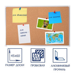 Доска пробковая А2, 45×60 см, Calligrata СТАНДАРТ, в алюминиевой рамке