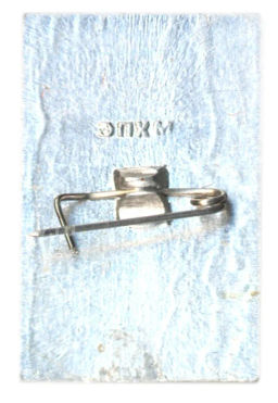 Значок Общество охраны памятников истории и культуры РСФСР