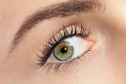 CATRICE Тушь для ресниц Glam & Doll False Lashes Mascara Waterproof, 010 Black Waterproof водостойкая 10 мл  фото 3