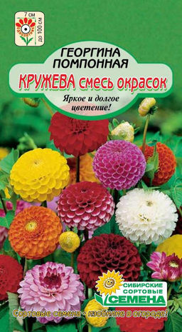 Кружево, смесь окрасок георгина помпон 0,1гр (ссс)