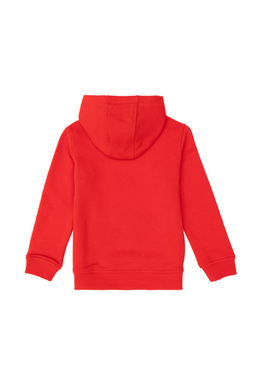 Красная толстовка для мальчика Неожиданная скидка в корзине - U.s. polo assn фото 2