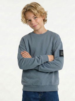 Лонгслив с нашивкой 22-7310 серо-голубой