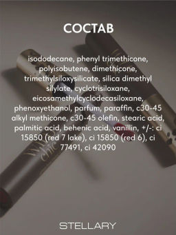 Stellary Глянцевая стойкая помада Wild Chic collection тон 01  фото 8