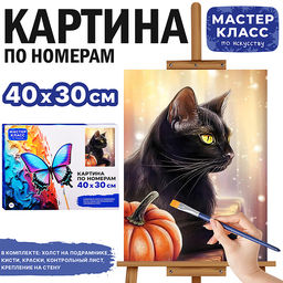 Картина по номерам "Чёрный кот" 30х40 см.