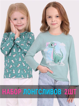 2лонгслива 2ДДЛД5846001н