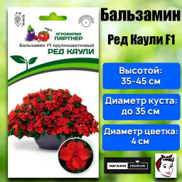 Бальзамин Уоллера крупноцветковый Ред Каули - Партнер фото 2