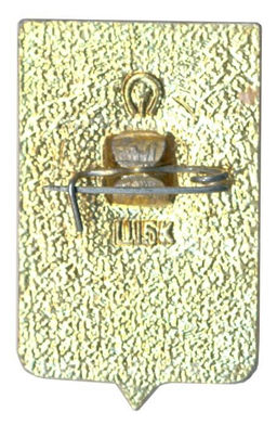 Значок Ростов на Дону