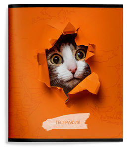 Тетрадь 48 л.География А5 клетка,ЛЮБОПЫТНЫЙ КОТИК Schoolformat
