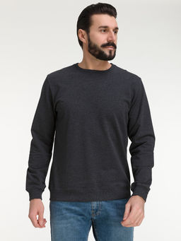Свитшот мужской GREG G121-OZ02-30 (антрацит м.)  фото 7