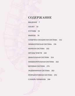 Анатомия (с иллюстрациями из классической Анатомии Грея). Джозеф К. - Колибри фото 2
