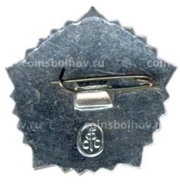 Значок ГТО  IV ступень