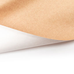 Gamma Картон для лекал толщ. 0.12 мм 10 м х 114 см в пакете беж/бел