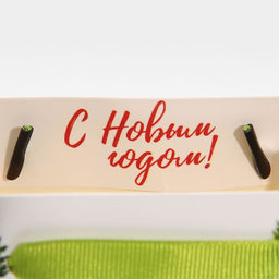 Цена за 2 шт. Пакет подарочный новогодний ламинированный «Ёлочки», MS 18 х 23 х 10 см