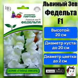 Львиный Зев низкорослый крупноцветковый Гранд Аморе Федельта
