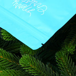 Цена за 50 шт. Пакет подарочный новогодний, с zip-lock застежкой, «Снеговик с шарфом», 16×21.5±1 см