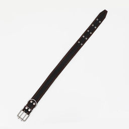 Ошейник кожаный с тиснением на синтепоне, 85 х 4.5 см, ОШ 50-70 см, чёрный - Пижон фото 3