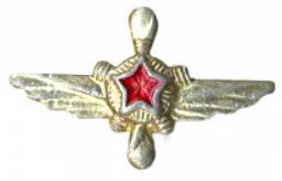 Значок Эмблема Военно-воздушные силы  техник