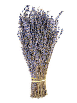 Букет лаванды крымской Синева - Травы горного крыма фото 5