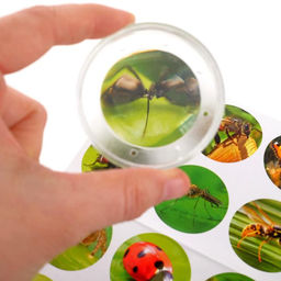 Набор для исследований Юный натуралист - Эврики фото 2