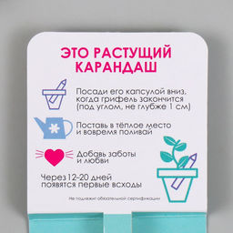 Цена за 2 шт. Растущий карандаш подарочный «Мята», mini, простой чернографитный