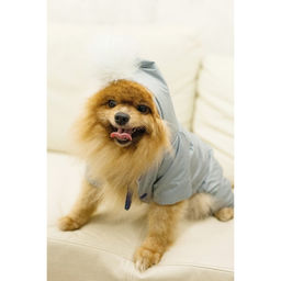 Комбинезон зимний для животных, флис, XL (ДС 32-34, ОШ 32, ОГ 40-44 см), серый - Simaland фото 13