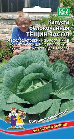 Капуста ТЁЩИН ЗАСОЛ  Сорт холодостойкий и жаростойкий! Лучший сорт для засола!