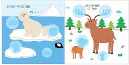 Мой первый альбом 3+. Дикие животные с наклейками - Робинс фото 3